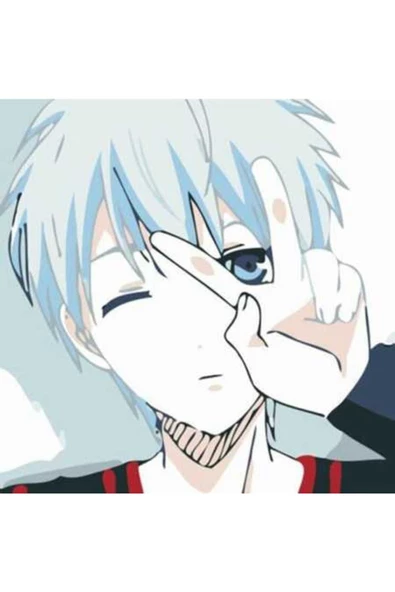 Canvas Star Anime Sayılarla Boyama Seti Rulo