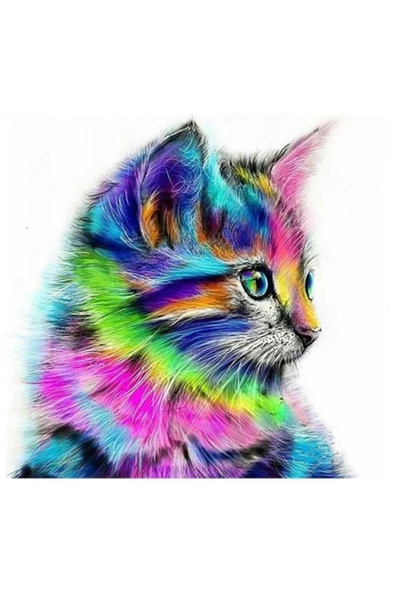 Canvas Renkli Minnoş Sayılarla Boyama Seti Rulo ürün görseli 1