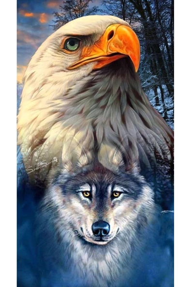 Canvas Kartal Ve Kurt Sayılarla Boyama Seti Kasnaklı 40 x 50 cm