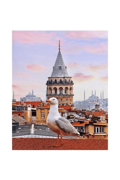 Canvas Galata Kulesi Ve Martı Sayılarla Boyama Seti Kasnaklı 100 X 140 Cm