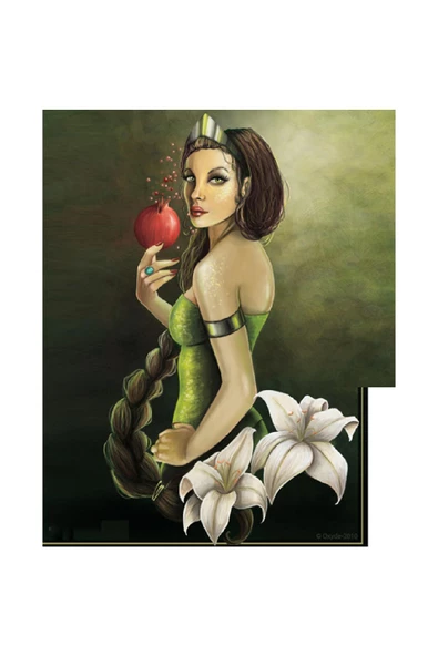 Canvas Nar Tanesi Sayılarla Boyama Seti  Kasnaklı 40 x 50 cm ürün görseli 1