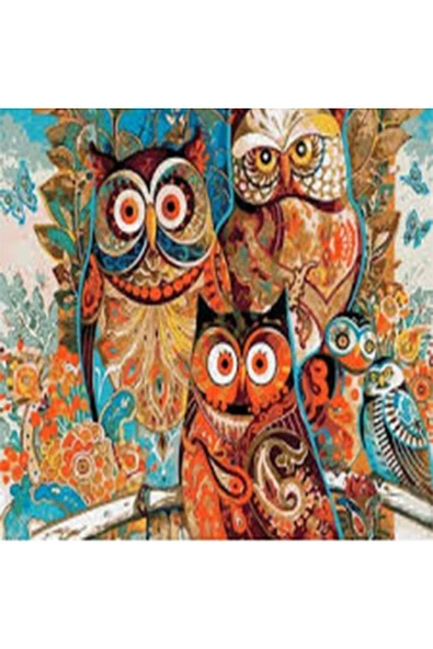 Canvas Renkli Baykuşlar Sayılarla Boyama Seti  Kasnaklı 60 x 75 cm ürün görseli 1