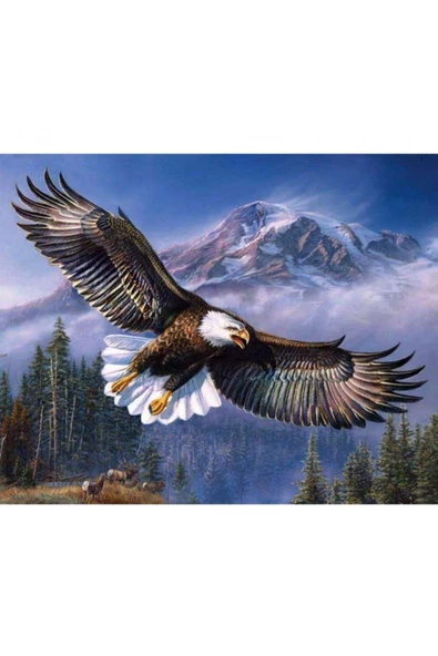 Canvas Gökteki Kartal Sayılarla Boyama Seti  Kasnaklı 60 x 75 cm ürün görseli 1