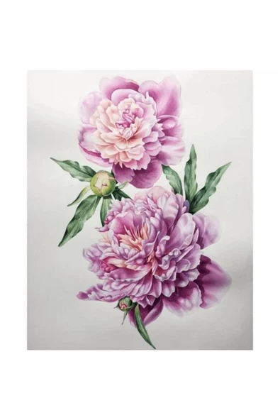 Canvas Pembe Çiçekler Sayılarla Boyama Seti Kasnaklı 70 X 90 Cm