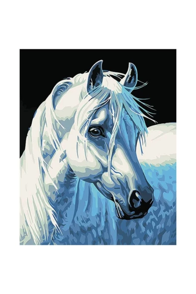 Canvas Yıldız At Sayılarla Boyama Seti   Kasnaklı 60 x 75 cm ürün görseli