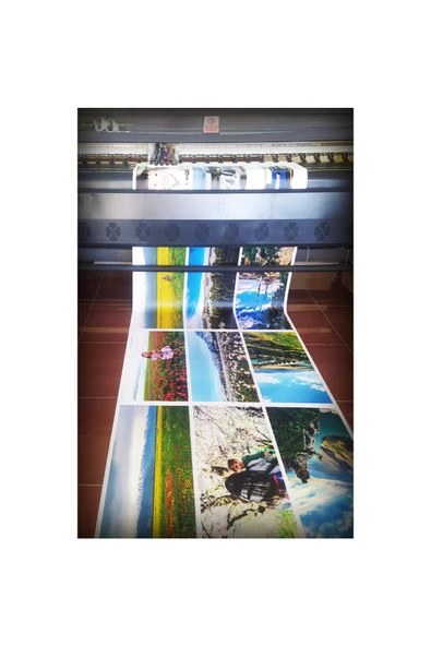 Kanvas Tablo Dünyaca Ünlü Kaplumbağa Terbiyecisi Led Işıklı - 70 x 100 cm - Resim 4