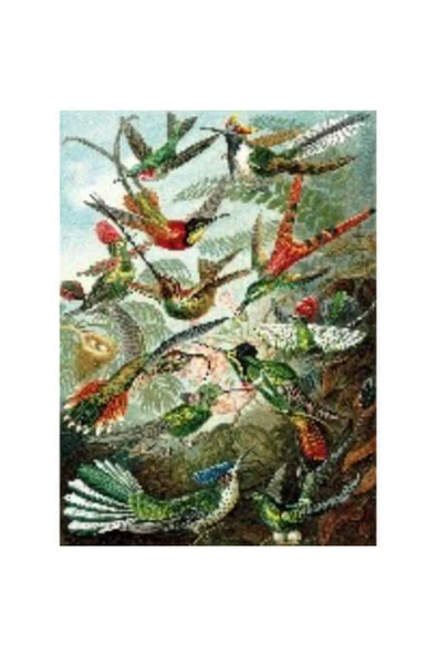 Canvas Yeşil Kuş Cenneti Sayılarla Boyama Seti  Kasnaklı 100 x 140 cm ürün görseli 1