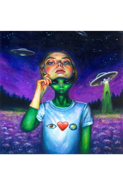 Canvas Uzaydan Gelen Misafir Sayılarla Boyama Seti Kasnaklı ürün görseli 1