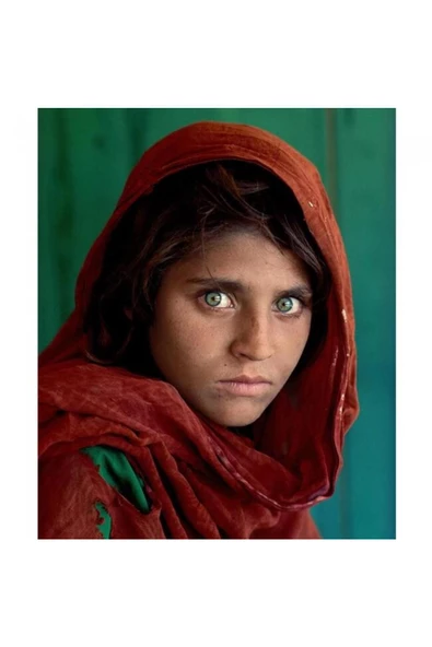 Canvas Afkan Kızı Sayılarla Boyama Seti Rulo ürün görseli 1