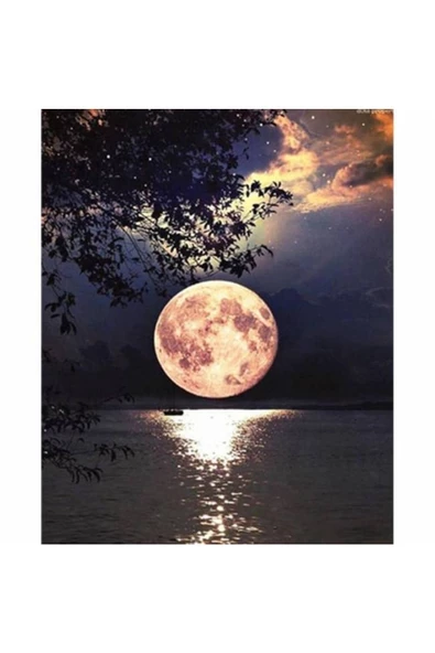 Canvas Dolunay Sayılarla Boyama Seti Kasnaklı 70 X 90 Cm ürün görseli 1