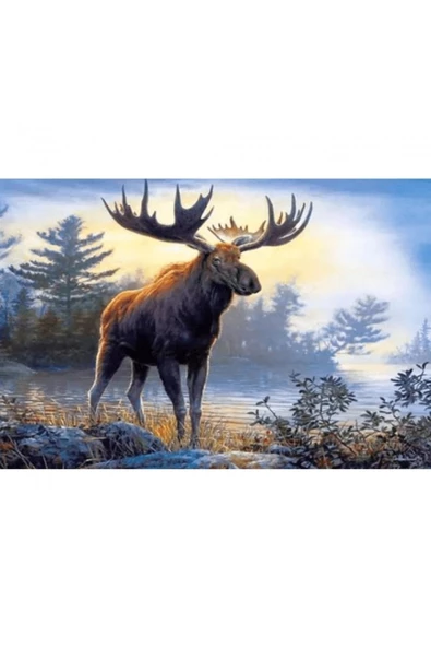 Canvas Geyik ve Orman Sayılarla Boyama Seti  Kasnaklı 90 x 110 cm