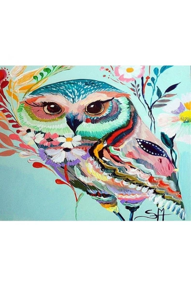 Canvas Desenli Baykuş Sayılarla Boyama Seti Rulo ürün görseli 1