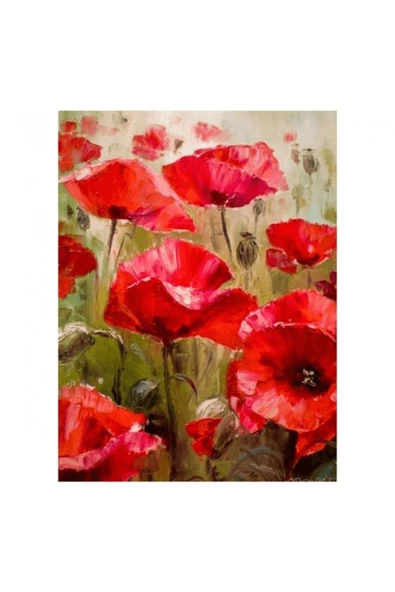 Canvas Gelincik Tarlası Sayılarla Boyama Seti  Kasnaklı 90 x 110 cm