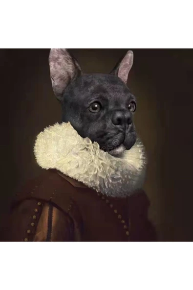 Canvas Asil Köpek Sayılarla Boyama Seti   Kasnaklı 70 x 90 cm ürün görseli 1