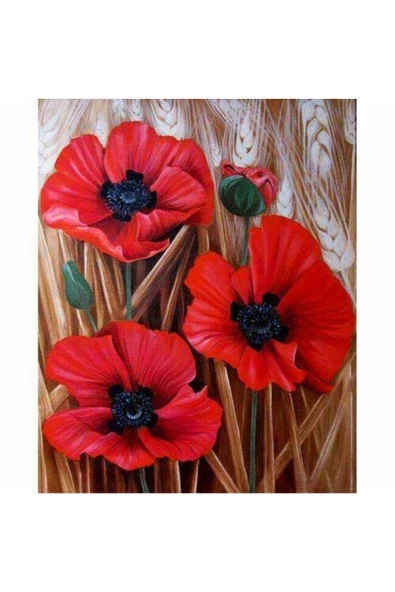 Canvas Başak Ve Gelincik Renkli Sayılarla Boyama Seti Kasnaklı 90 X 110 Cm ürün görseli 1