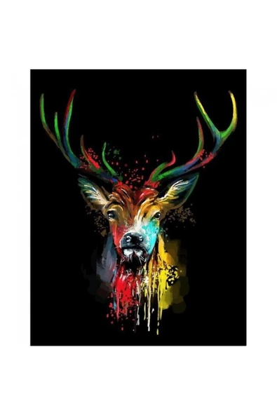 Canvas Renk ve Geyik Sayılarla Boyama Seti  Kasnaklı 50 x 65 cm ürün görseli 1