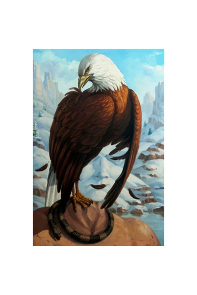 Canvas Kartal Düşüncesi Sayılarla Boyama Seti Rulo ürün görseli 1