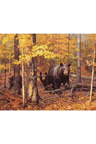 Canvas Ayı Ailesi Sayılarla Boyama Seti Kasnaklı 40 x 50 cm ürün görseli 1