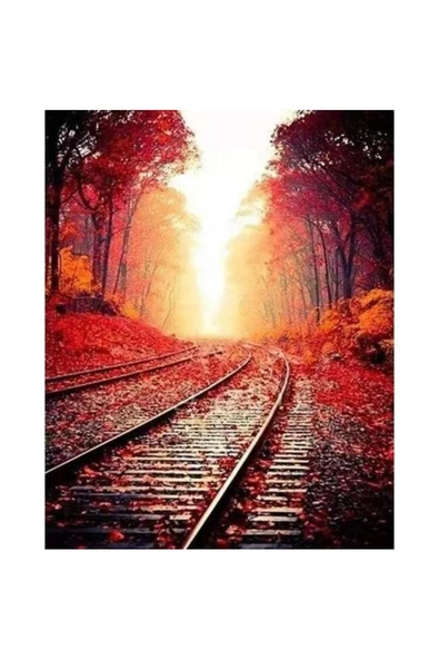 Canvas Tren Rayları Sayılarla Boyama Seti  Kasnaklı 40 x 50 cm