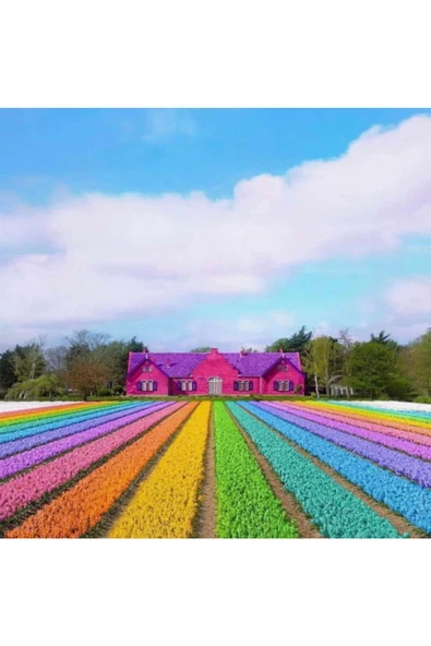 Canvas Gökkuşağı Bahçesi Sayılarla Boyama Seti  Kasnaklı 100 x 140 cm ürün görseli