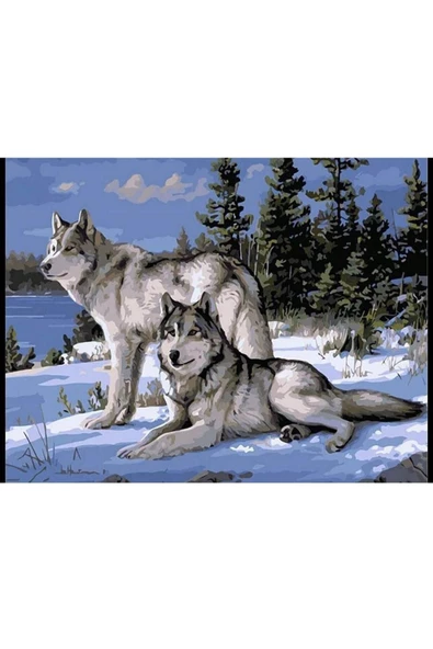 Canvas Kurt Bakışı Sayılarla Boyama SetiRulo ürün görseli 1