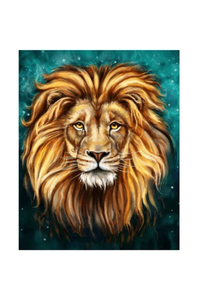 Canvas Tek Aslan Sayılarla Boyama Seti Duvar Sticker Rulo ürün görseli 1