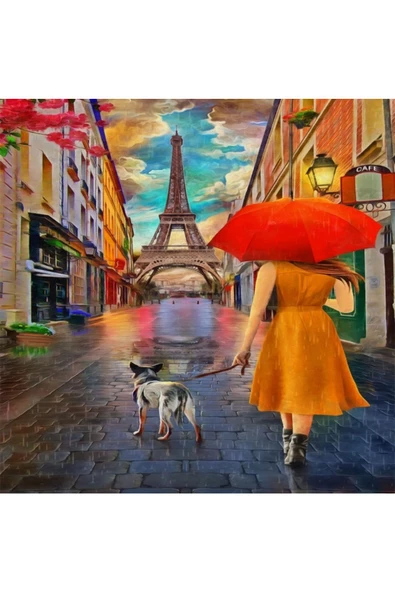 Canvas Köpeğini Gezdiren Kadın Sayılarla Boyama Seti Rulo ürün görseli 1