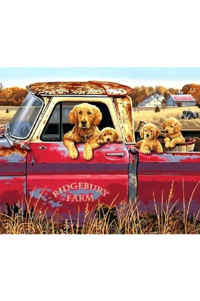 Canvas Yavru Köpekler Kamyonette Sayılarla Boyama Seti  Kasnaklı 50 x 65 cm ürün görseli 1