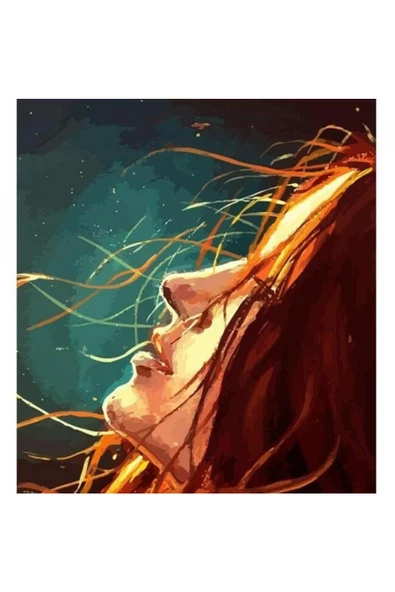 Canvas Kızıl Güzel Sayılarla Boyama Seti  Kasnaklı 40 x 50 cm ürün görseli 1