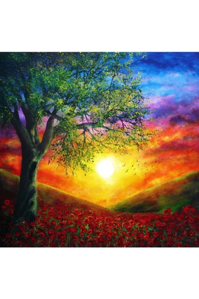 Canvas Günbatımı Ve Doğa Sayılarla Boyama Seti  Rulo