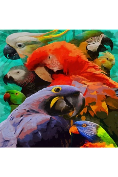 Canvas Renkli Papağanlar Sayılarla Boyama Seti  Kasnaklı 70 x 90 cm ürün görseli 1