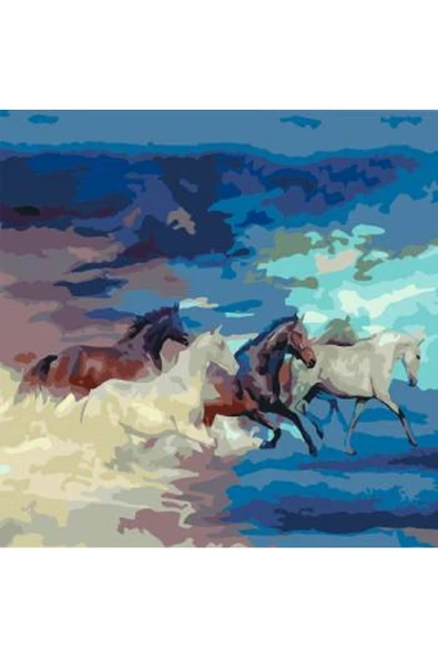 Canvas Atların Hedefi Sayılarla Boyama Seti  Rulo ürün görseli 1