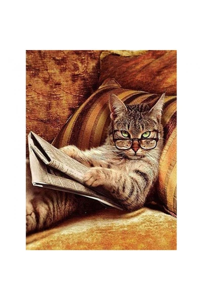 Canvas Keyfekeder Kedi Sayılarla Boyama Seti Rulo ürün görseli 1