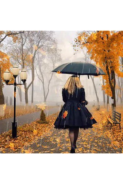 Canvas Kadın Ve Sonbahar Sayılarla Boyama Seti  Kasnaklı 50 x 65 cm ürün görseli 1