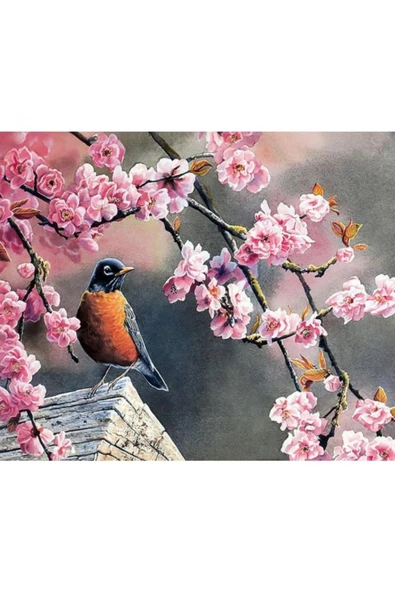 Canvas Bahar ve Kuşlar 2 Sayılarla Boyama Seti  Kasnaklı 50 x 65 cm - 1
