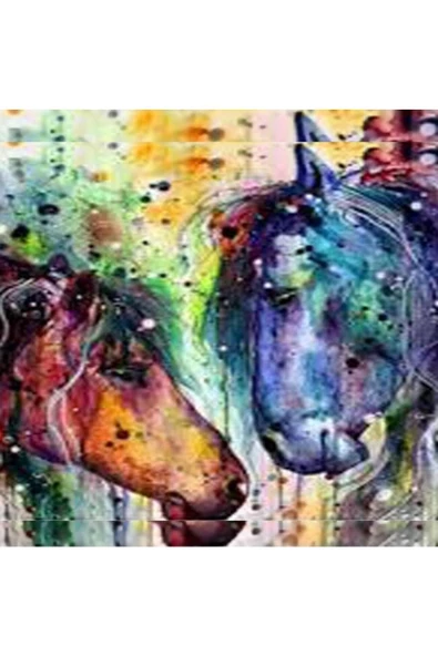 Canvas Renkli Atlar Sayılarla Boyama Seti  Kasnaklı 60 x 75 cm - 1