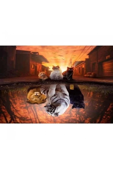 Canvas Kedilerin Yansıması Boyama Seti Duvar Sticker Rulo 90 X 110 Cm ürün görseli 1