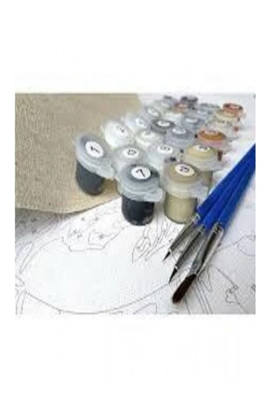 Canvas Kadının Esareti 3 Sayılarla Boyama Seti  Kasnaklı 40 x 50 cm - Resim 4