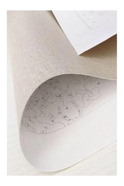 Canvas Kadının Esareti 3 Sayılarla Boyama Seti  Kasnaklı 40 x 50 cm - Resim 3