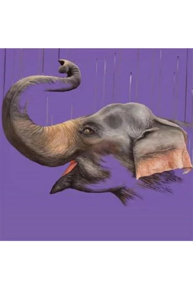 Canvas Sevimi Fil Sayılarla Boyama Seti  Rulo ürün görseli 1