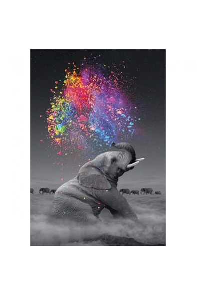 Canvas Renk Yağmuru ve Fil  Sayılarla Boyama Seti  Kasnaklı 40 x 50 cm ürün görseli 1