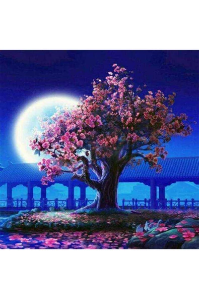 Canvas Baharda Dolunay Sayılarla Boyama Seti Kasnaklı 60 X 75 Cm ürün görseli 1