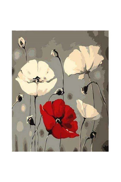 Canvas Beyaz Ve Kırmızı Gelincik Sayılarla Boyama Seti Kasnaklı 100 X 140 Cm ürün görseli 1