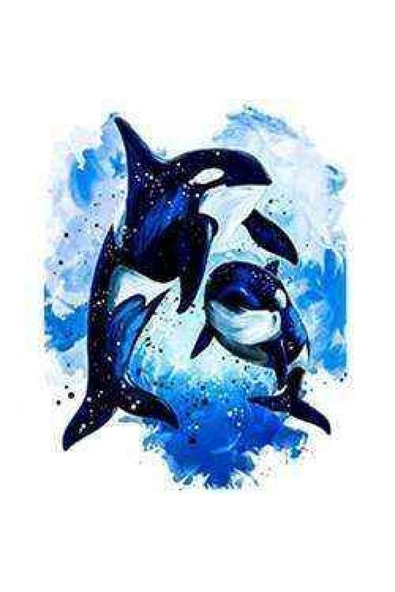 Canvas Mavi Sular Ve Orca Sayılarla Boyama Seti Kasnaklı 100 X 140 Cm