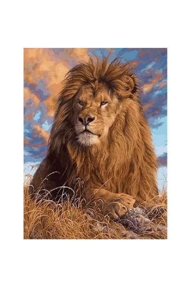 Canvas Lider Aslan  Sayılarla Boyama Seti  Kasnaklı 90 x 110 cm ürün görseli 1