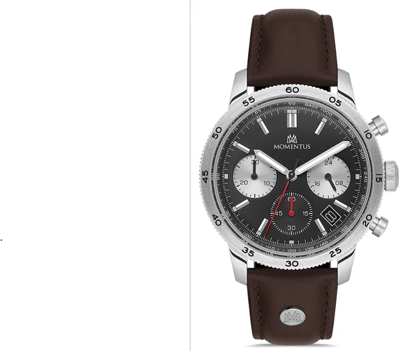 CC303S-04KS MOMENTUS MEN'S CASUAL KOL SAATİ