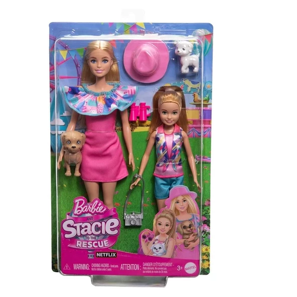Barbie ve Stacie Kız Kardeşler İkili Set HRM09 - 2