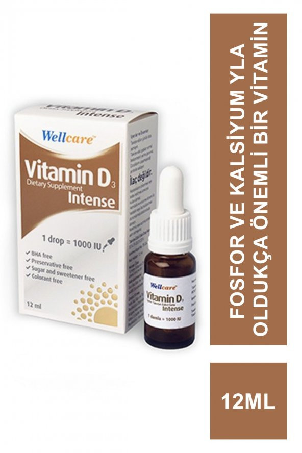 Wellcare Vitamin D3 Intense 1000 IU 12 ml (S.K.T 02-2026)