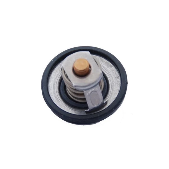 Focus Termostat (1998-2019) 1.6 ZETEC, 1.4 L DURATEC, 1.6 TDCI DURATORG, 1.6 L DURATEC Tİ-VCT  4M5G8575ZB