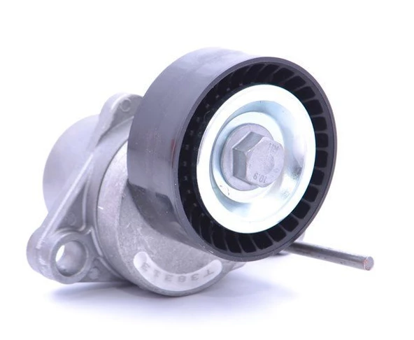 Citroen C4 Alternatör Gergisi Komple (2004-2010) 1.6, 1.4 534025010